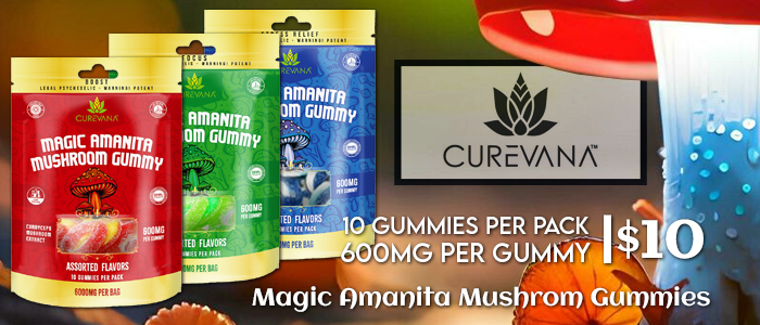 Curevana Magic Amanita Mushroom Gummies