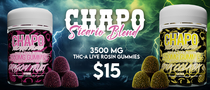 chapo sicario gummies