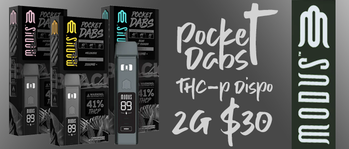 modus pocket dabs thc-p disppsable 2g