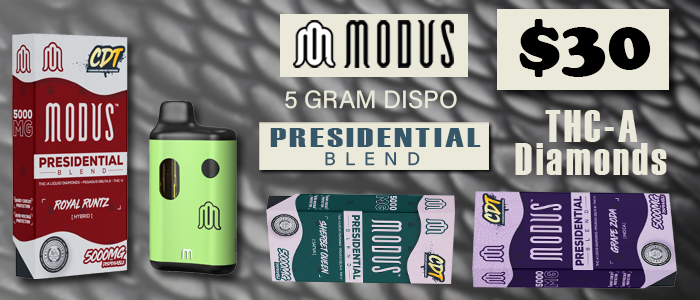 modus presidential blend