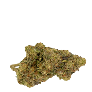 Dantes inferno jars